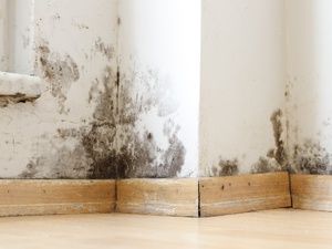 Bauschaden Sockel Feucht Format4 3 qual95